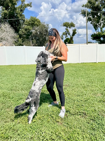 BBBF1173-07AA-435A-8A0A-29E3019CACFB_edi