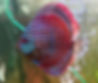 IMG-20251217-WA0138_edited.jpg