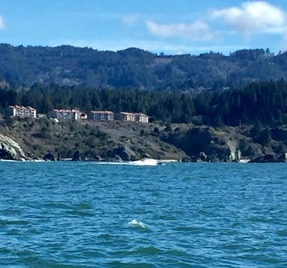 SeasTodayVacation Oceanfront home for rent Brookings Oregon