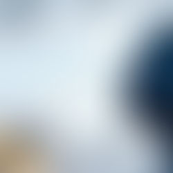 THE BASICS OF BRAIN HEALTH