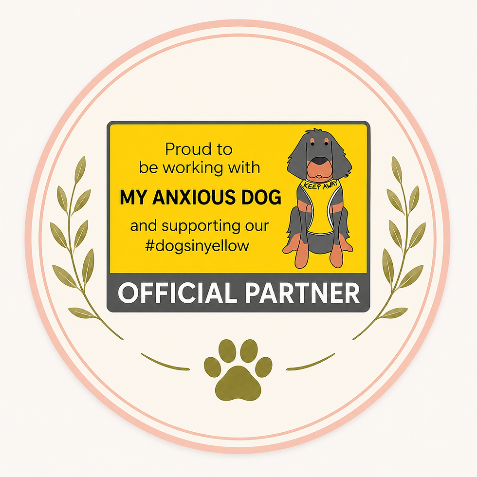 My Anxious Dog