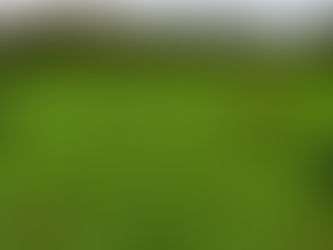 Community Walk in Fryent Country Park 🐾