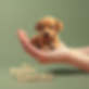 The Puppy Support Nest logo.png