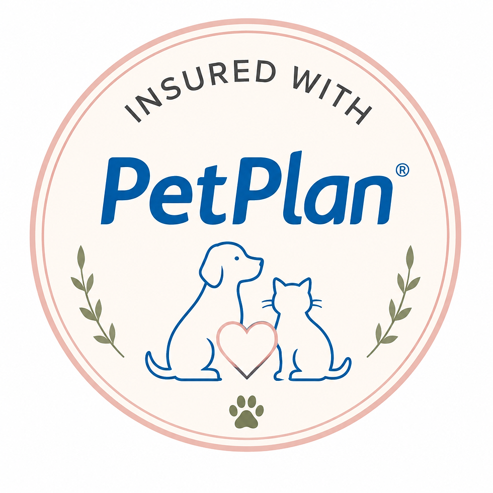 Petplan