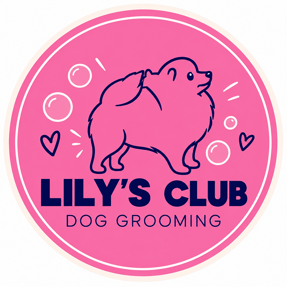 Lily’s Club Dog Grooming