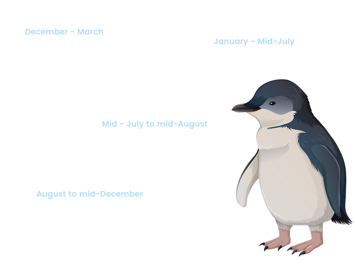 Add a little bit of body text (1).png