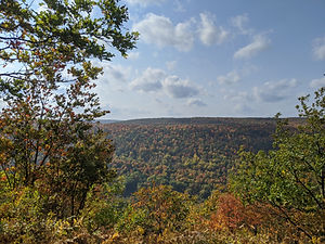 IMG_20201010_141703.jpg