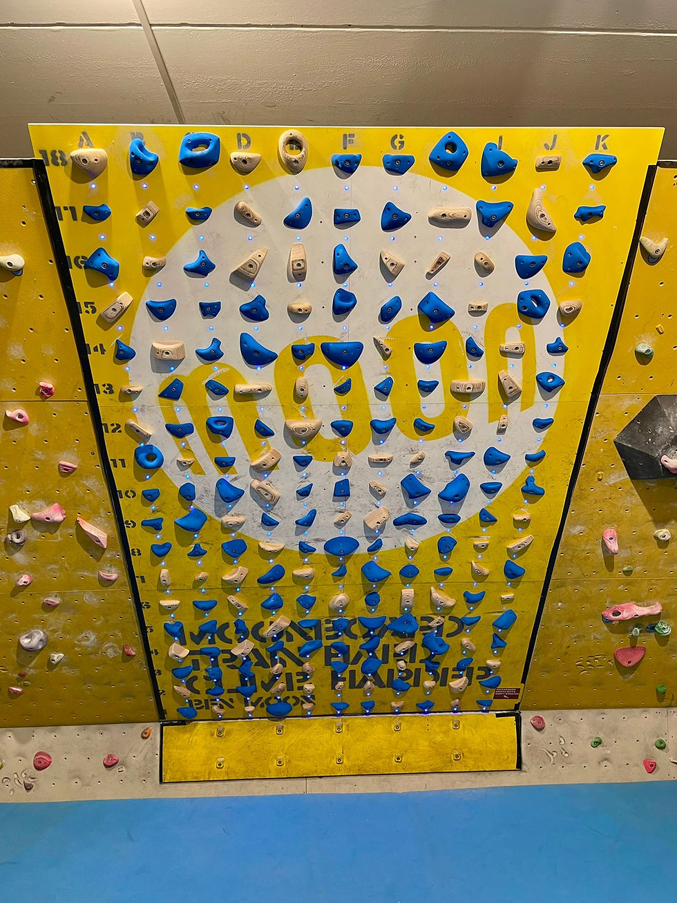 Neues Moonboardgriffset