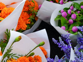 How to approach the Sales Process... #31