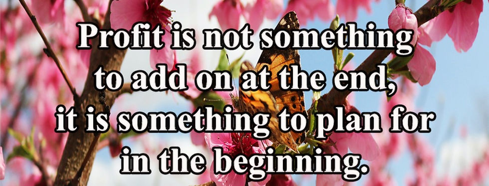 Butterfly on Cherry Blossom