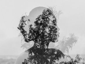 Introverts in Business... #109