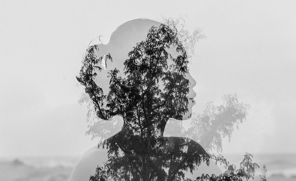 Woman and tree silhouette