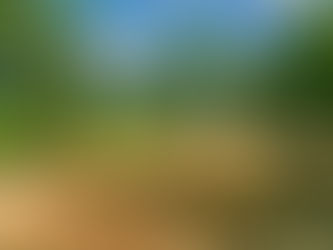 Foundation of a house