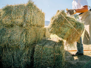 Bundling is a game changer ...... #78