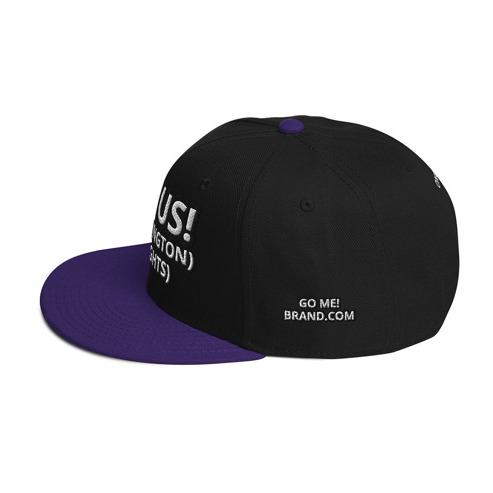 Thumbnail: Snapback Hat copy copy copy copy