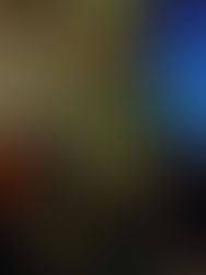 V Encuentro Estatal de Guanajuato 2014