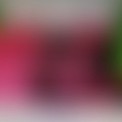 Feria LIJ Contigo 2020