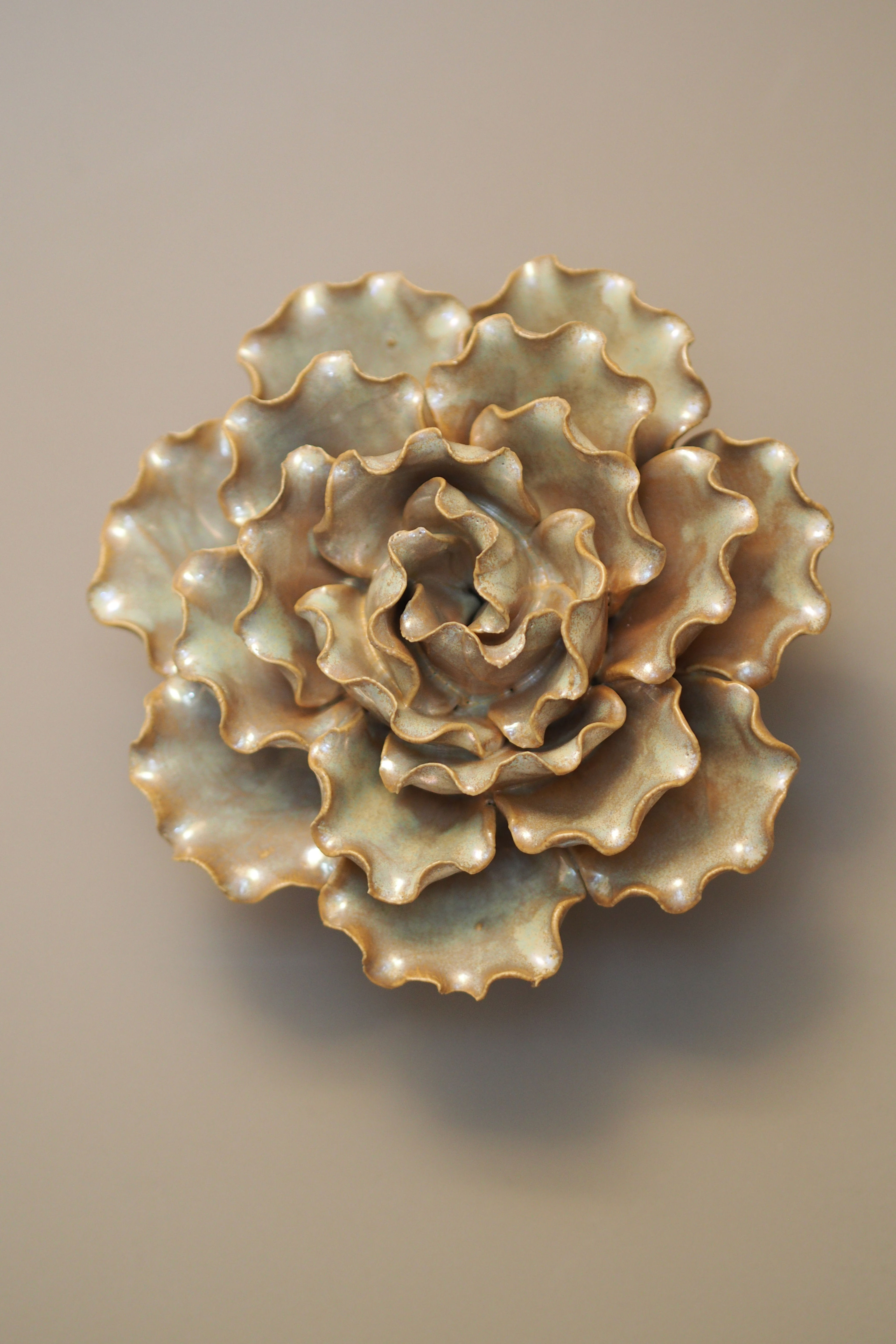 CORAL  6 LARGE SEA LETTUCE  PEARL