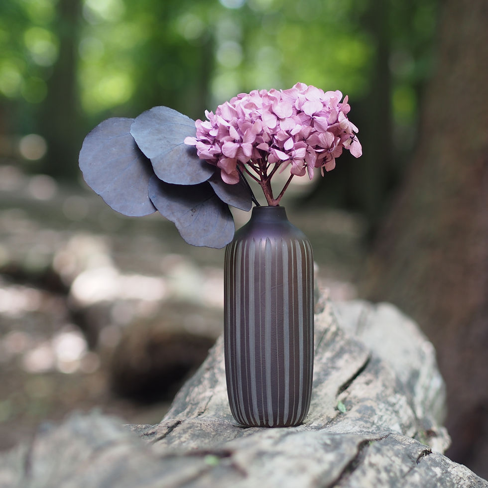 Thumbnail: PRESERVED BLUSH PINK HYDRANGEA & EUCALYPTUS POPULOUS
