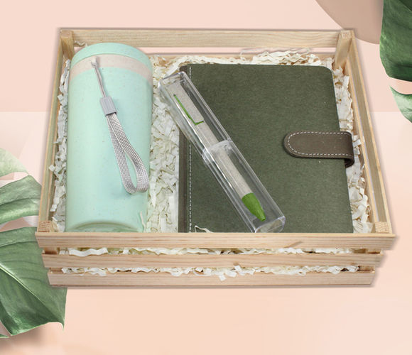 KIT-ECOLOGICO-B.2.jpg