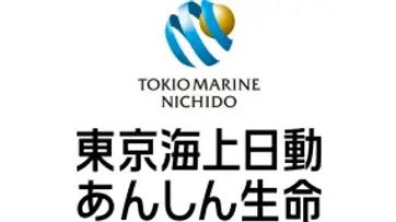Original300x160.webp
