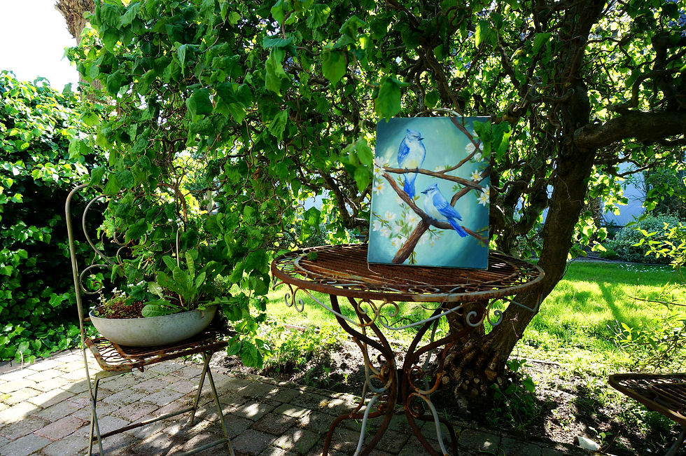 Thumbnail: Vogels van de Lente