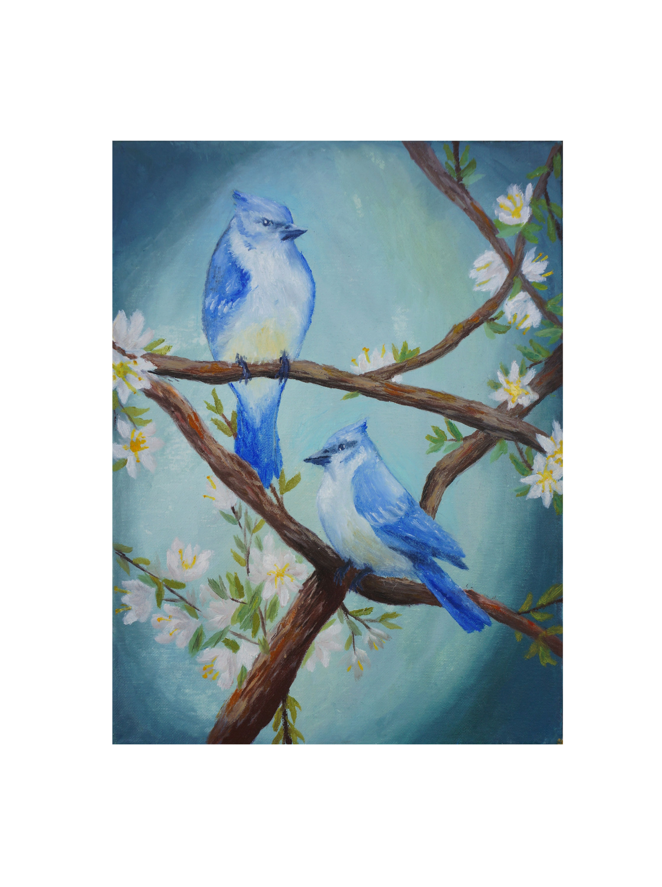 Birds of Spring