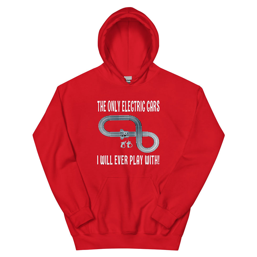 Thumbnail: SLOT CARS ANTI EV HOODIE