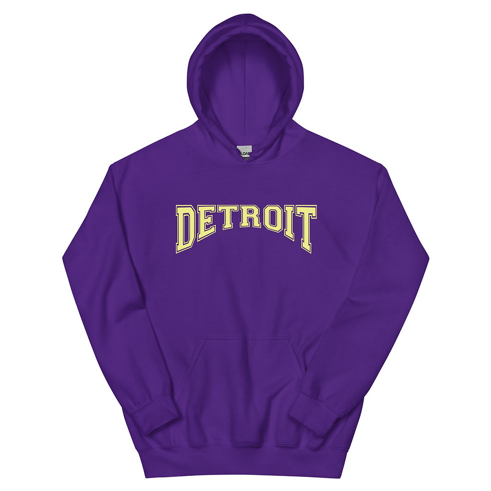 Thumbnail: DETROIT HOODIE