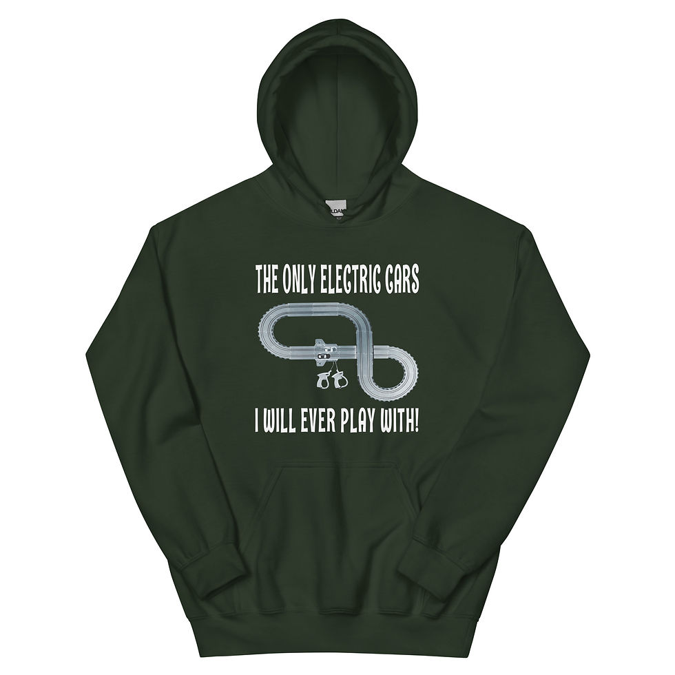 Thumbnail: SLOT CARS ANTI EV HOODIE