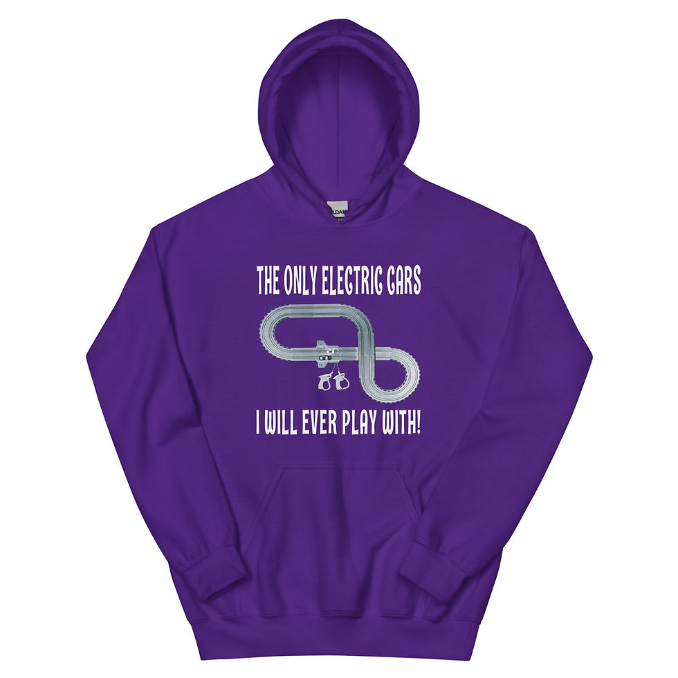 Thumbnail: SLOT CARS ANTI EV HOODIE