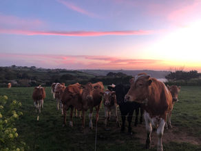 COINCIDENCES AND DECISIONS