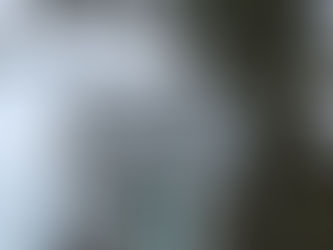 FORWARDS, THE NEW BACKWARDS