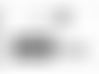 WORKING WITH PERRIN. WHAT DOES IT LOOK LIKE?