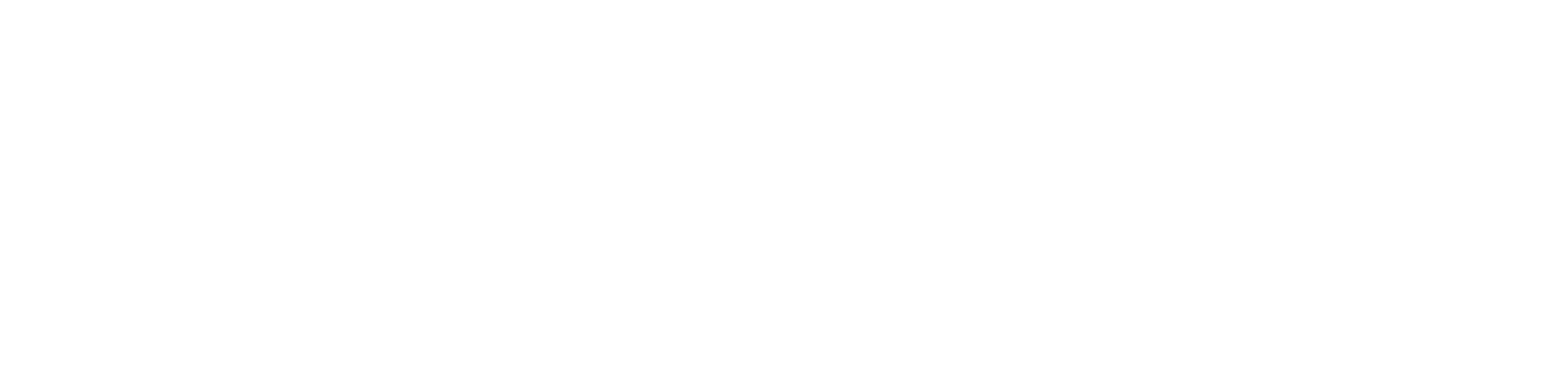 CoSteer Logo WHITE.png