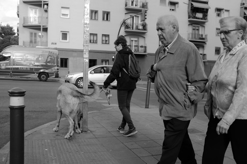 Untitled, 2018. Madrid, Spain.
