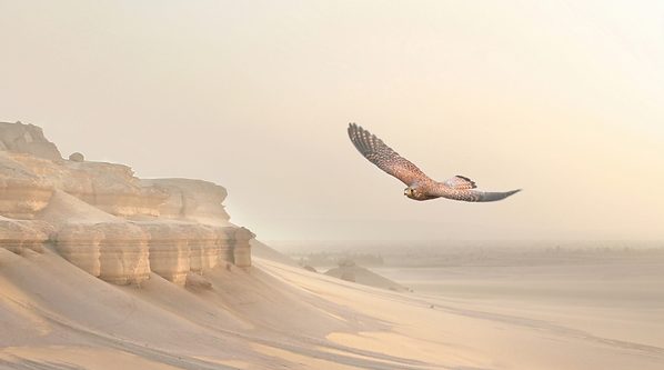 Screenshot 2024-02-14 at 17.10.14.png