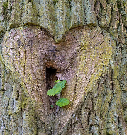 Screenshot 2025-11-05 at 09.34_edited.jp