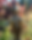 Screenshot 2025-11-05 at 10.36.56.png