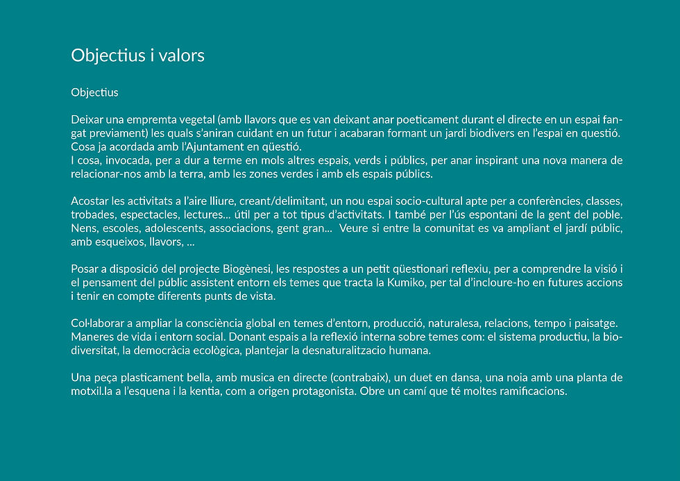 kumiko el projecte6.jpg