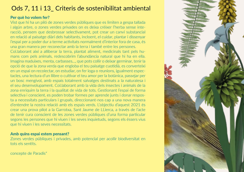 kumiko el projecte14.jpg