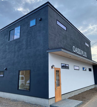 オアシスカスタムキュー OASIS エボニーストレート oasiscue2013