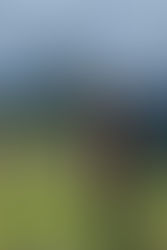 Copertina del post dedicato a Elí Urbina, con tre poesie tratte dalla silloge “Un hombre solo, un solo infierno” (Valparaíso Ediciones, 2025), presentate in versione bilingue italiano–spagnolo