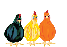 The 3 younger chickens, called Gen Z: Raven, Sunshine and Gingersnap.