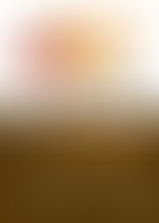 Sortida boletaire al Parc natural del Montnegre Corredor