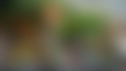 Activitats migdia – Novembre 2018