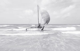 catamaran.jpg