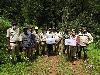 Karnatka-Forest-Department_WildCAT_C_Kalinga-Foundation-team-with-the-hatchlings-before-re