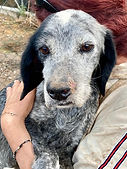 Bella.webp