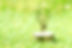 1597328_m.jpg
